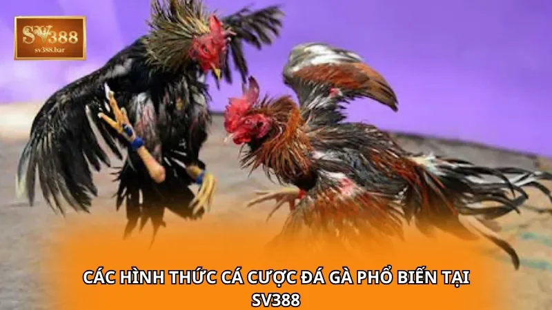 Các hình thức cá cược đá gà phổ biến tại SV388
