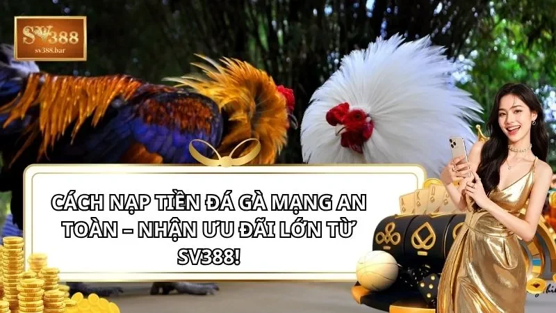 Cách nạp tiền đá gà mạng