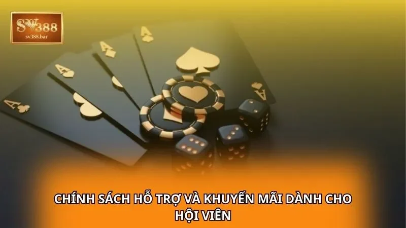 Chính sách hỗ trợ và khuyến mãi dành cho hội viên